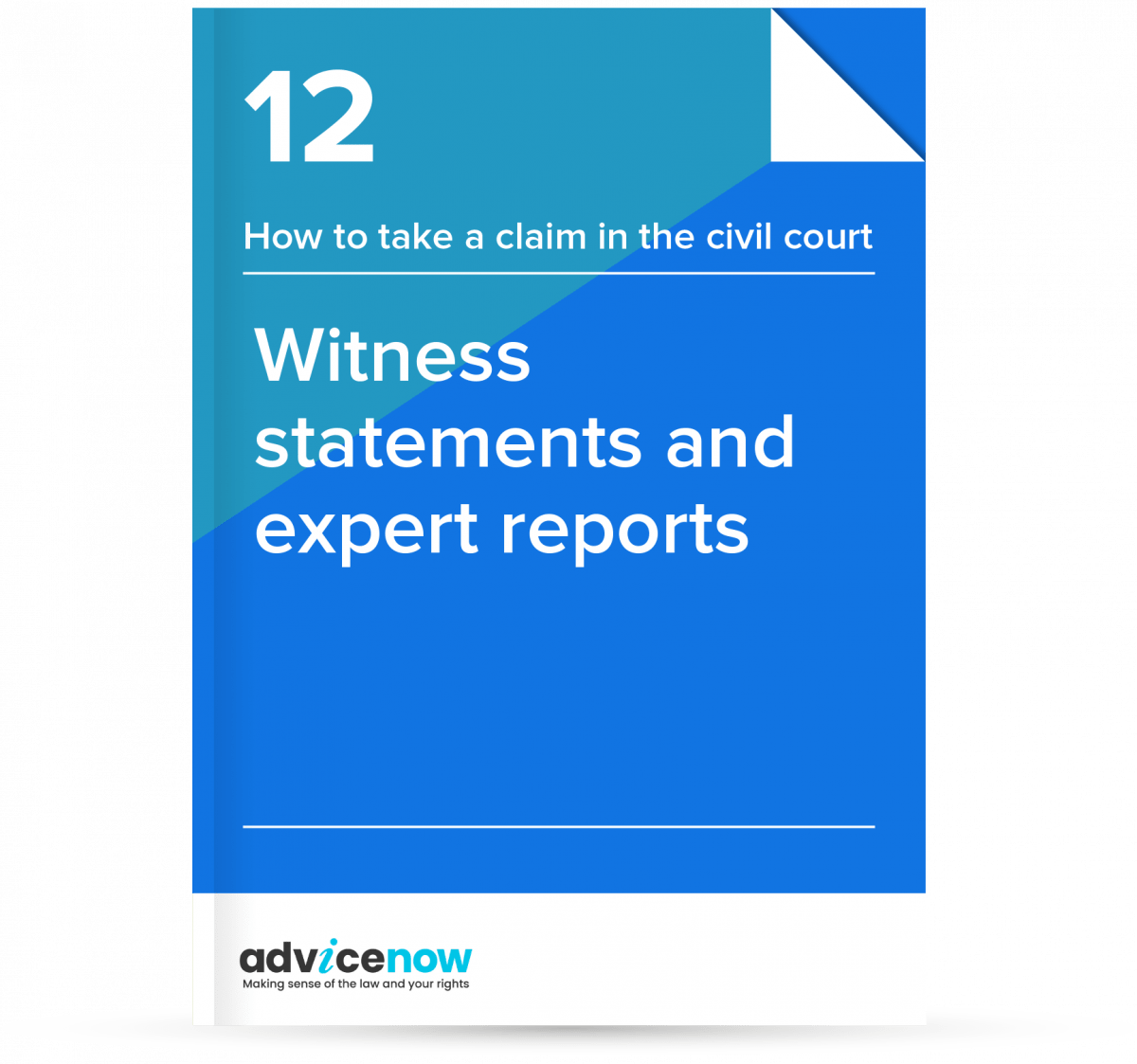 witness-statements-and-expert-reports-advicenow